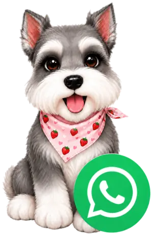 Dulce - asistente de WhatsApp